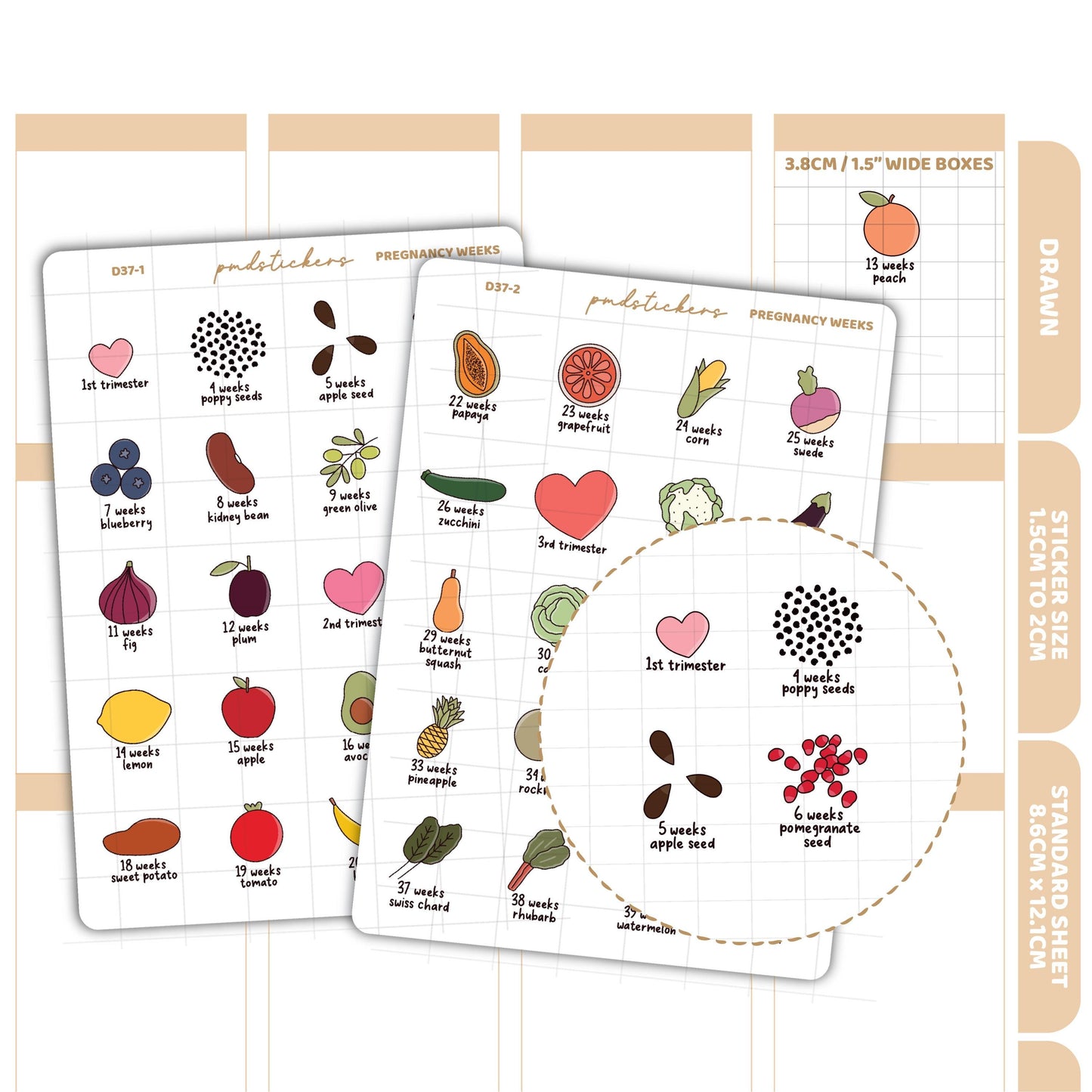 Pregnancy Weeks Stickers | Drawn Planner Stickers | D37(2)