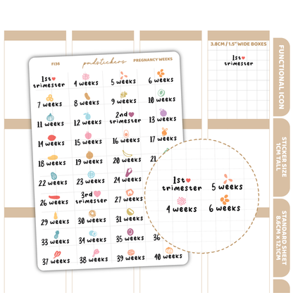 Pregnancy Weeks Stickers | Functional Icon Planner Stickers | FI36