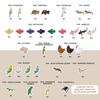 Birds, Reptiles, Fish & more Stickers | Pet Stickers | 16 Options | PET04