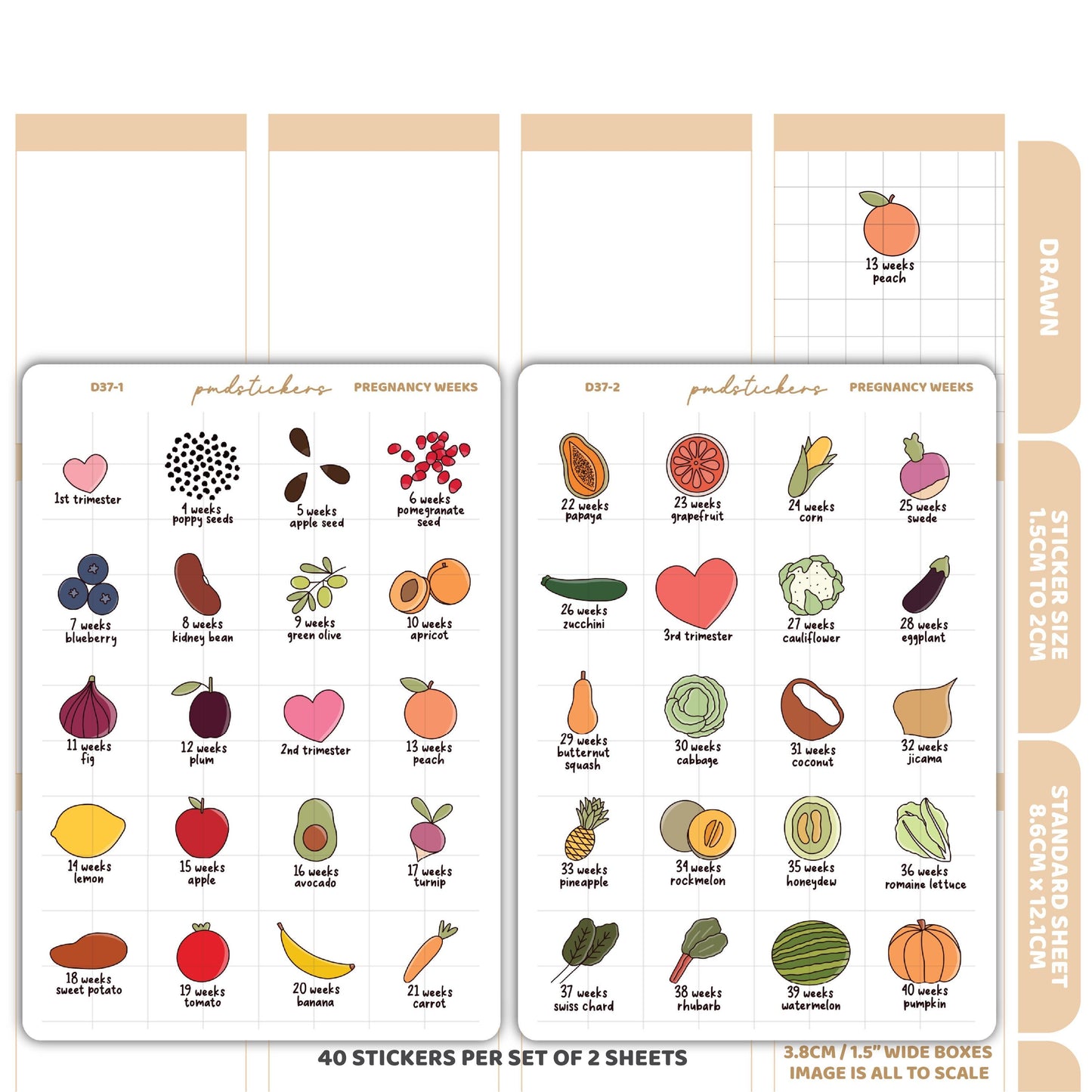Pregnancy Weeks Stickers | Drawn Planner Stickers | D37(2)