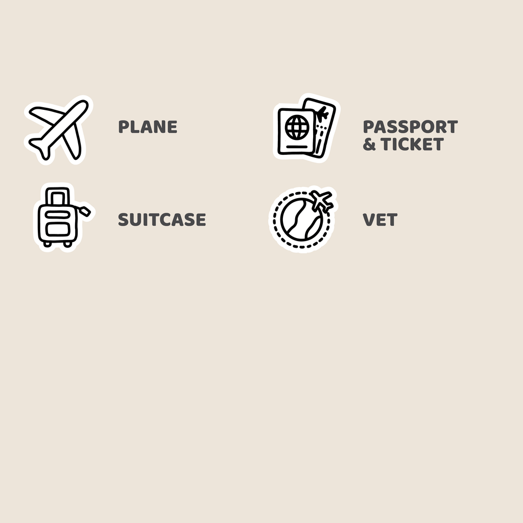 Plane Travel Mix Icon Stickers | DI31